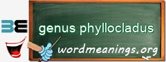 WordMeaning blackboard for genus phyllocladus